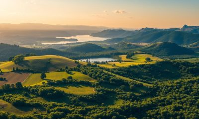 The 5 Main Types of Land in Real Estate You Should Know