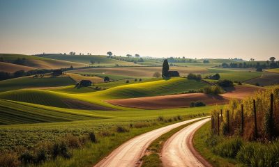 What to Know About Agricultural Land in Real Estate